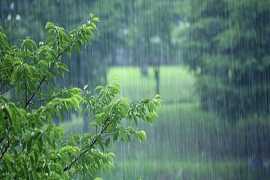 سامانه بارشی در جنوب کشور تا فردا ادامه دارد