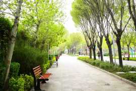 گسترش زیرساخت‌های فضای سبز در منطقه 12 شهرداری اصفهان