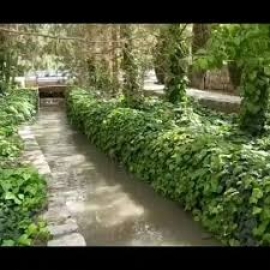 مدیر منطقه 3 شهرداری اصفهان خبر داد: فعالیت 16 روزه تیم خدمات شهری برای جاری شدن آب در چشمه باقرخان