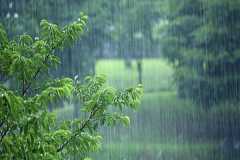 رگبار باران و رعد و برق در اغلب مناطق کشور