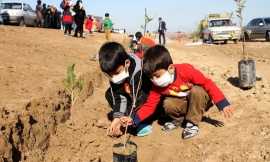 شهردار نجف آباد خبر داد:  کاشت بیش از 12هزار درخت در مناطق پنجگانه شهرداری نجف آباد