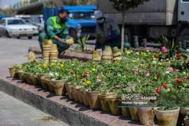 هزینه ۵۰ میلیارد ریالی برای گل‌کاری منطقه یک اصفهان