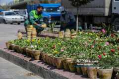 هزینه ۵۰ میلیارد ریالی برای گل‌کاری منطقه یک اصفهان