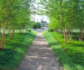 مدیرعامل سازمان پارک ها و فضای سبز شهرداری اصفهان: 21 میلیون مترمربع از فضای سبز اصفهان با روش های جدید آبیاری می شود
