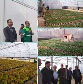 تور بازدید از مراکز تولید گل اصفهان